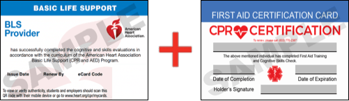 Sample American Heart Association AHA BLS CPR Card Certification and First Aid Certification Card from CPR Certification Detroit