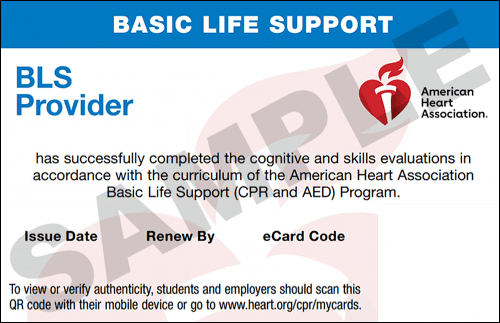Sample American Heart Association AHA BLS CPR Card Certification from CPR Certification Detroit